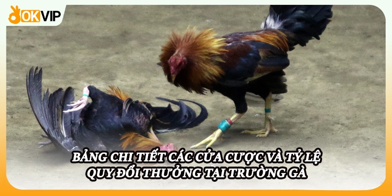 Bảng chi tiết các cửa cược và tỷ lệ quy đổi thưởng tại trường gà