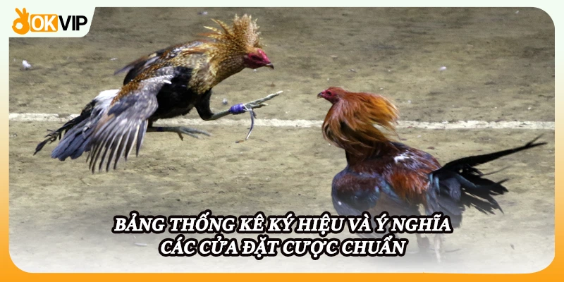 Bảng thống kê ký hiệu và ý nghĩa các cửa đặt cược chuẩn