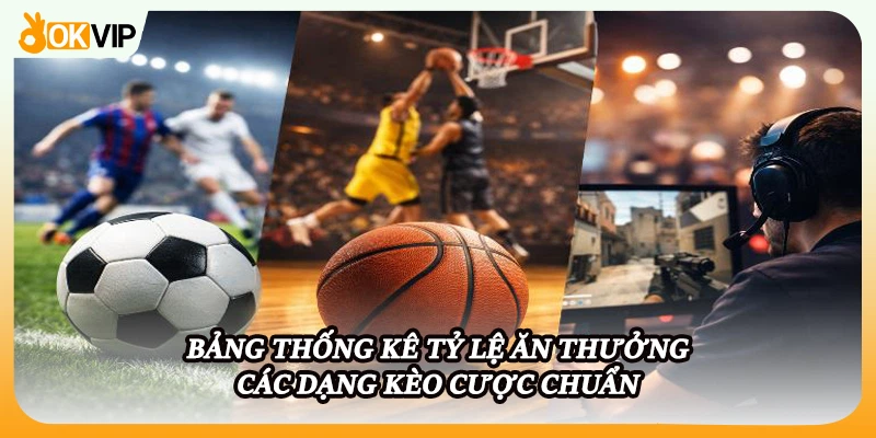 Bảng thống kê tỷ lệ ăn thưởng các dạng kèo cược chuẩn