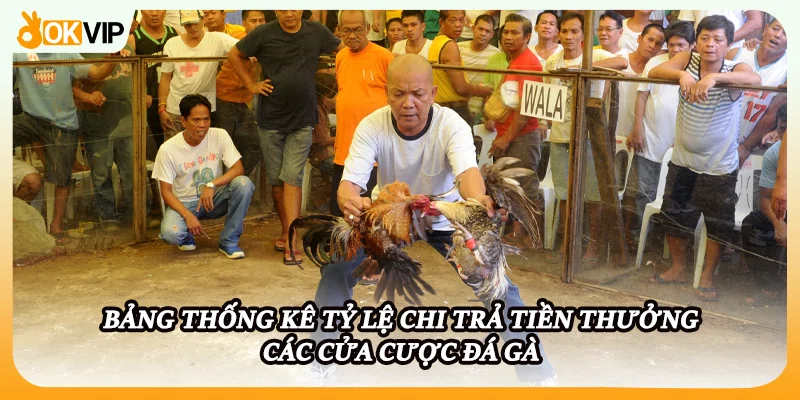 Bảng thống kê tỷ lệ chi trả tiền thưởng các cửa cược đá gà
