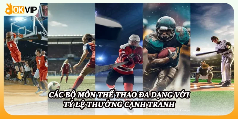 Các bộ môn thể thao đa dạng với tỷ lệ thưởng cạnh tranh