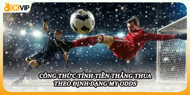 Công thức tính tiền thắng thua theo định dạng MY Odds