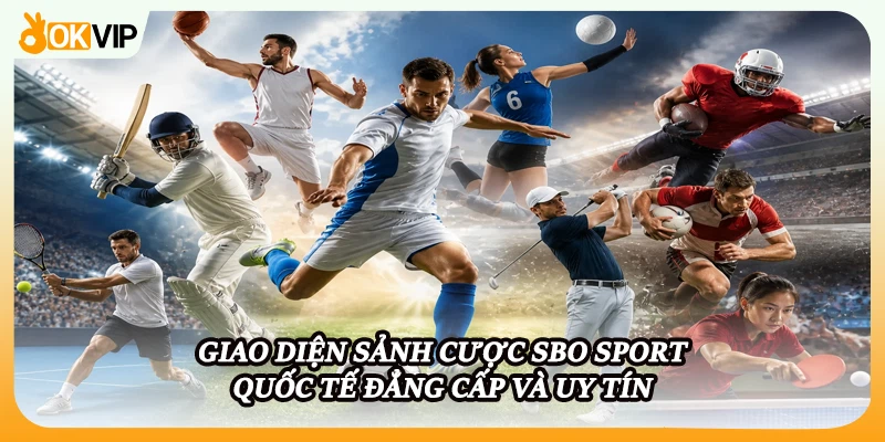 Giao diện sảnh cược SBO Sport quốc tế đẳng cấp và uy tín